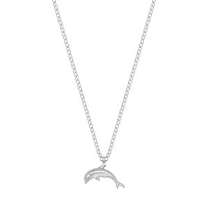 N. 925 DOLPHIN ROUND SMALL CHAIN